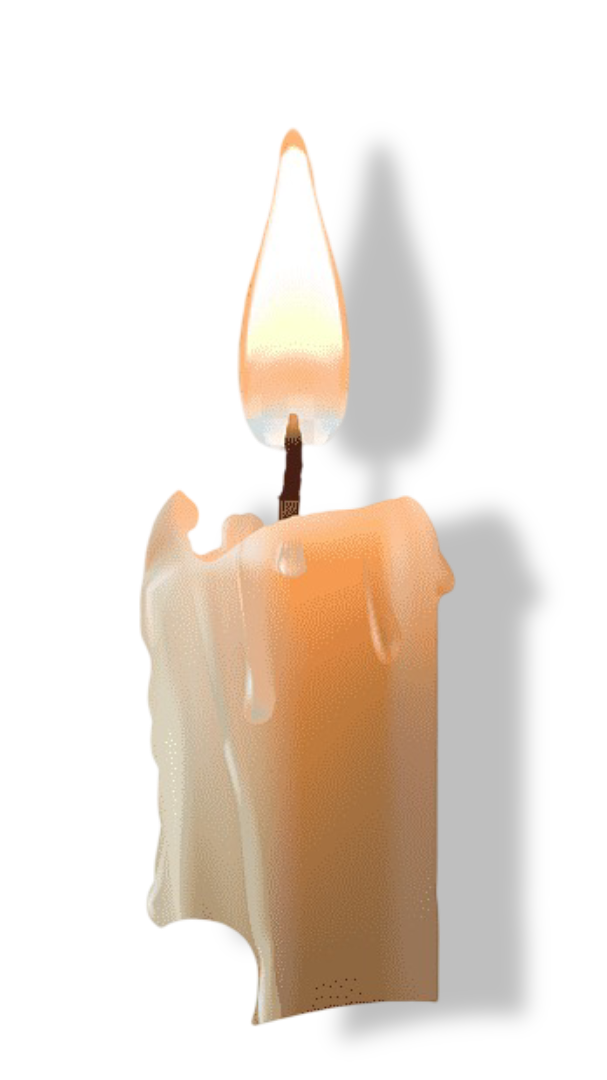 Vela